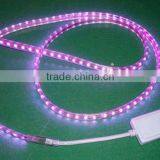 Ip65 Led Light Strip thumbnail-1