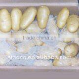 Chinese Potato in 200g thumbnail-1