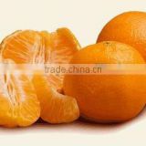 New Year 2017 Special Offer - Mandarin from Pakistan