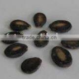 Chinese Foodstuff / New Crop Black Watermelon Seeds A Grade