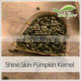 Chinese High Quality Pepitas Pumpkin Seeds thumbnail-5