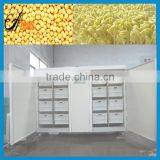 Australia America Popular Sale Electric Automatic Bean Sprout Making Machine