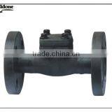 Check Valve / Forged Steel Check Valve thumbnail-1
