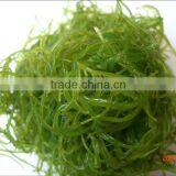 Carrot Multiple Layer Continuous Type Mesh Belt Dryer thumbnail-6