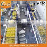 Canned Passion Fruit Production/processing Line thumbnail-1