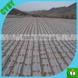 Agricultural Silver-black, Transparent, Double Black Mulch Film, Low Mulch Film Price thumbnail-3