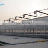 Factory Price High Quality Commercial/agricultural Used Film Covering Greenhouse for Sale thumbnail-4