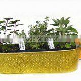 Windowsill Herb Planter Kit, Long Seed Planters thumbnail-1