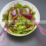 Plastic Salad Fork and Spoon Set thumbnail-1