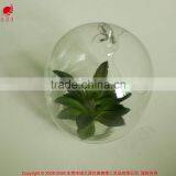 New Home Decor Succulent Art Craft Mini Terrarium Succulent Plant thumbnail-2