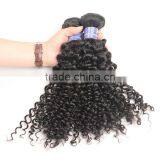 2016 New Products on China Market, Mongolian Virgin Hair, Mongolian Kinky Curly Hair thumbnail-1