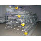 Poultry Cage for Layer Chicken Farm