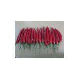 Red Chilli thumbnail-3