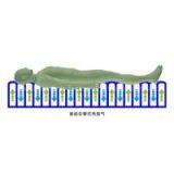 2016 Innovation New Products Far Infra Pressotherapy Machine thumbnail-3