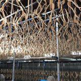 Zoom Birchen Wood Clothing Hangers High Quality Factory Price thumbnail-5