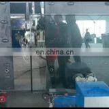 Hot-sale and Best-quality WL2500-31 Automatic Sealing Robot With High-efficiency