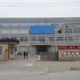 Ling Gan Li Ren Limited Company company overview - view 1 thumbnail