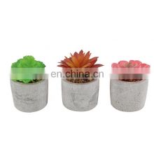 wholesale mini home decoration plastic fake desk pot artificial succulent plants