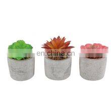 Wholesale Mini Home Decoration Plastic Fake Desk Pot Artificial Succulent Plants thumbnail-1