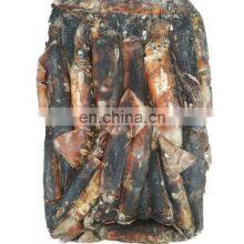 Dosidicus Gigas Giant Squid Peru Frozen Equator Squid Price Whole Round 300-500 500-1000