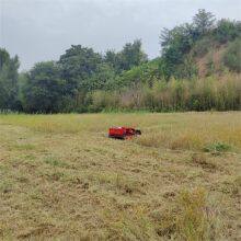 Household Remote Control Lawn Mower thumbnail-1