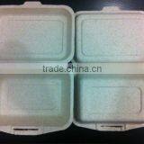 Biodegradable Lunch Box