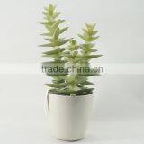 Natural Looking Real Touch Tropical Artificial Succulent Plants thumbnail-1