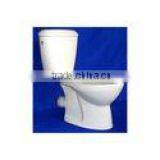 Conceal P Water Closet thumbnail-1