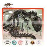 Life Size Dinosaur Fossils for Sale for Science Museum Exhibitions