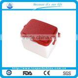 Insulin Car Cooler Box