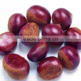 2014 Crop 100% Natrual Green Chestnut in Shell thumbnail-2