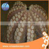 Frozen Unboiled Octopus thumbnail-1