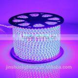 2016 Hotsale Europe High Lumen 220V Led Rope Light thumbnail-1