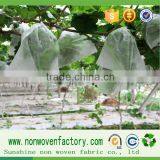 Non Woven Geotextile Bags for Fruit Protection Bsg thumbnail-3