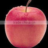 High quality red Fuji apple