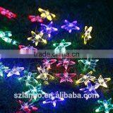 2015 New Hot Sunniemart 20 LED White String Light Solar Powered Star Globe String Lightss for Garden Chrismas thumbnail-1
