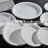 Popular Camping Disposable Plastic Round Plate and Dish