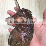 Natural Smoky Rock Quartz Crystal Unicorn