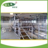 Senior Milking System Equipment for sheep in dairy farm