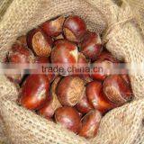 Sweet Chestnut Wholesales Price Shandong Crop and Dandong Crop thumbnail-2