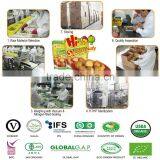 Ready to Eat Healthy Snacks, Organic Chinese Snacks for Sale thumbnail-6