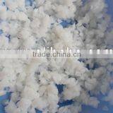 Raw Nata de Coco thumbnail-1