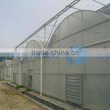 Double Layer Inflated Film Greenhouse thumbnail-1