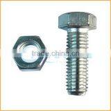 China Supplier High Tensile Bolt and Nut