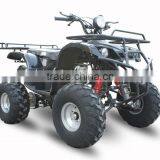 QUAD ATV 250cc ATA250-D1 With EPA ECE thumbnail-1