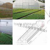 China Supplier Tunnel Greenhouse thumbnail-6
