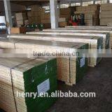 LVL Construction Board