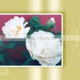 Tree Peony Plant Root Chun Hong Jiao Yan thumbnail-1