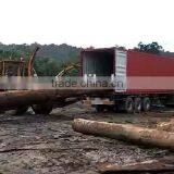 Suriname ROK / Rode Kabbes Log thumbnail-2