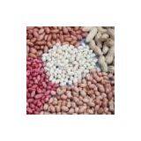 Lancal Industrial Co.,Ltd company overview - view 1 thumbnail